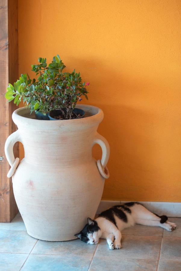 Cuaddus E Tellas Nuragus Bagian luar foto