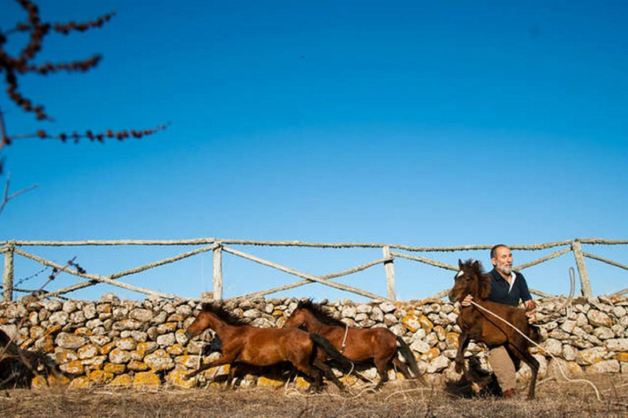 Cuaddus E Tellas Nuragus Bagian luar foto